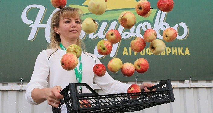 俄商业监察员：俄企可向中国出口生态食品与建材