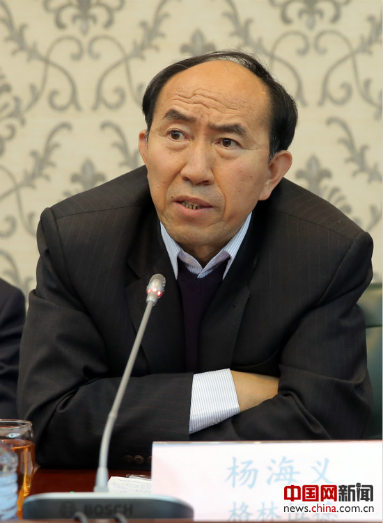 格林伍德国际贸易中心执行总经理杨海义先生  央视网 张土昌 摄