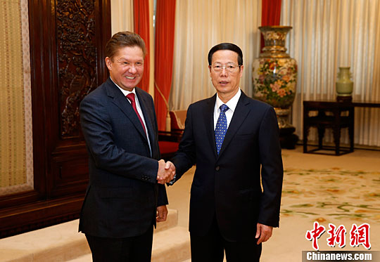 张高丽：保持中俄能源合作持续稳定发展势头