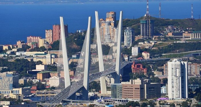 符拉迪沃斯托克或将成为俄罗斯退税政策试点地区 符拉迪沃斯托克或将成为俄罗斯退税政策试点地区